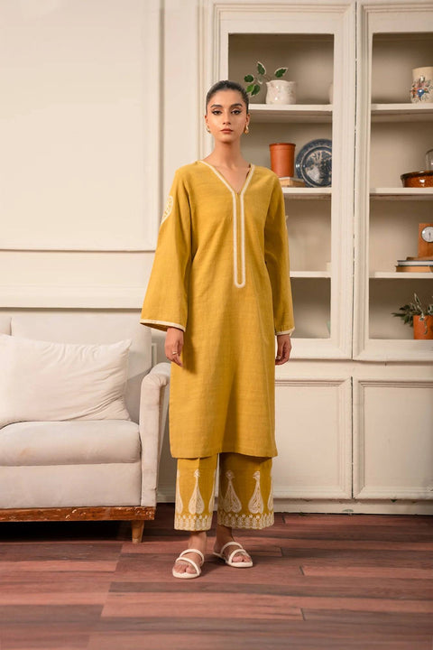 2 Piece Embroidered Khaddar Suit