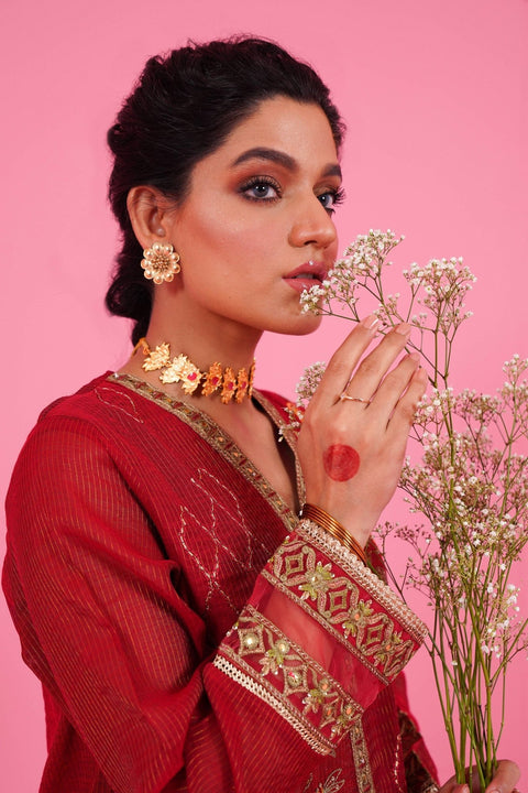Terracotta - Brands Bazaar